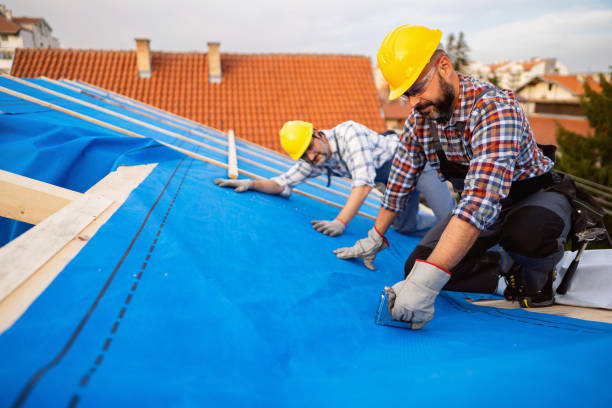 Best Roof Coating and Sealing  in Glenwood, IA